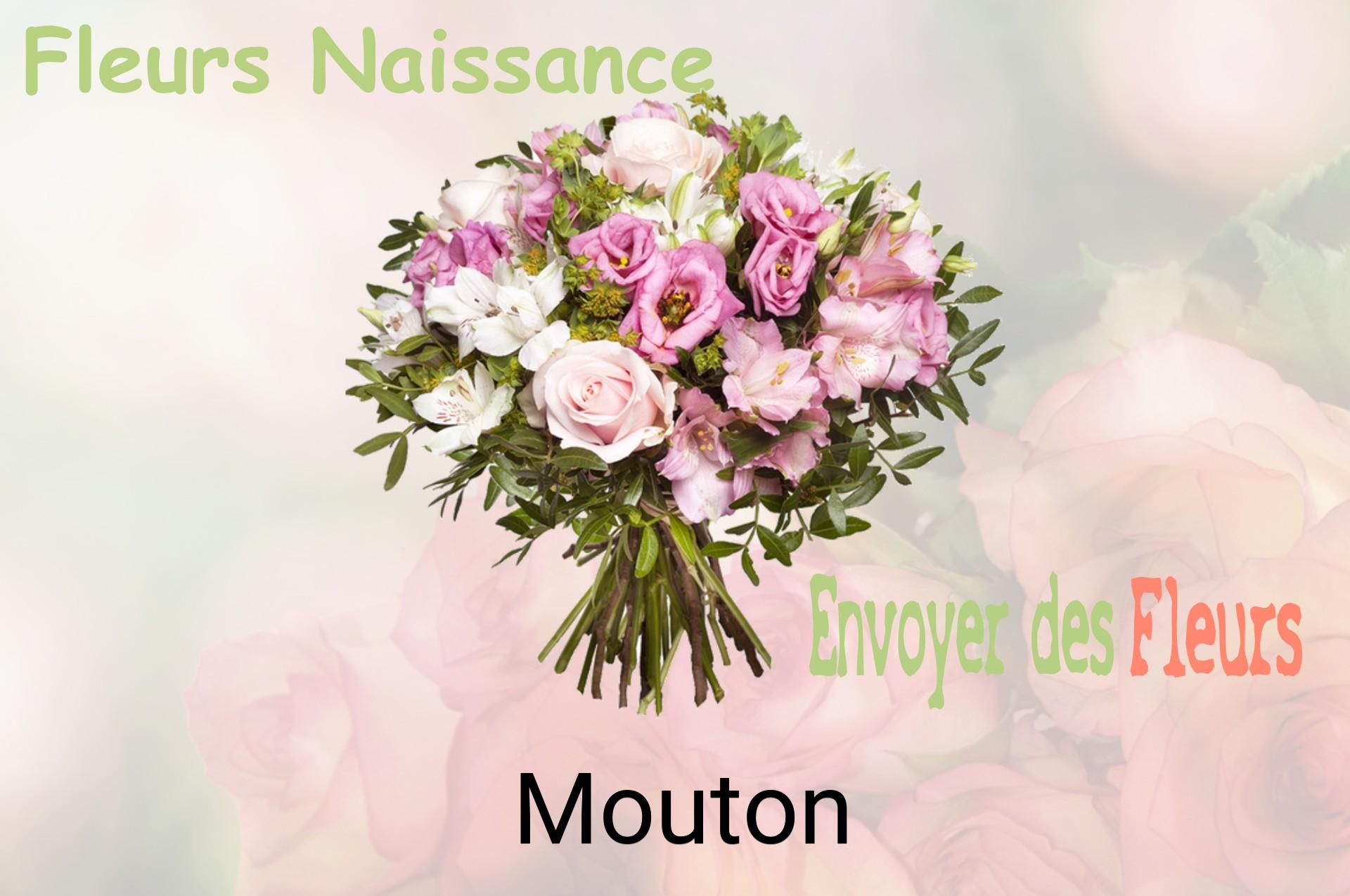 Bouquet de fleurs de naissance livré à Mouton